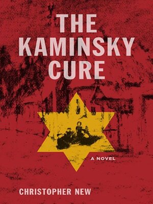 cover image of The Kaminsky Cure